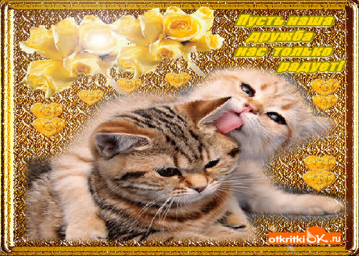 Картинка картинка дружба