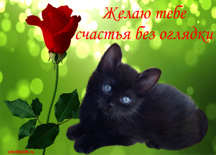 Открытка открытка желаю счастья