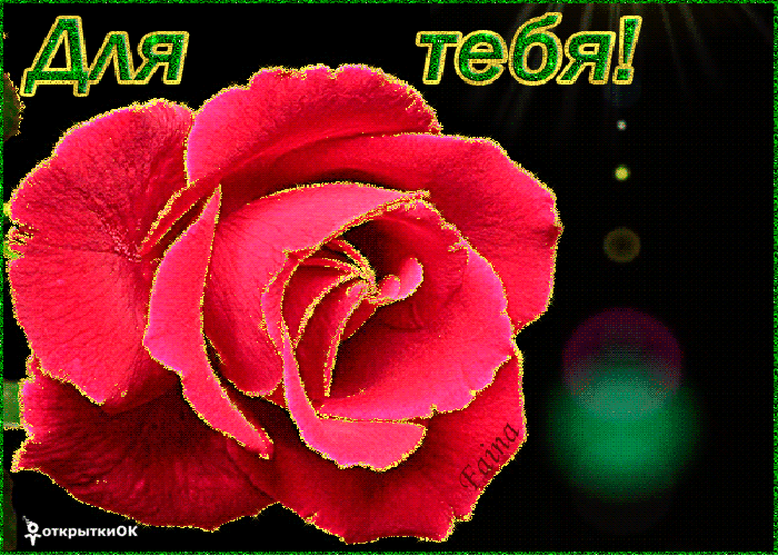 Картинка открытка красная роза для тебя