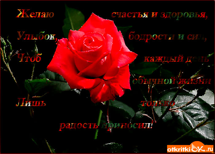 Картинка картинка на счастье