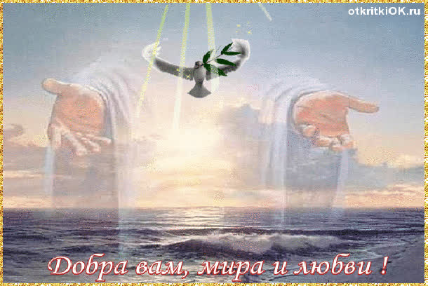 Картинка картинка пожелания счастья добра любви