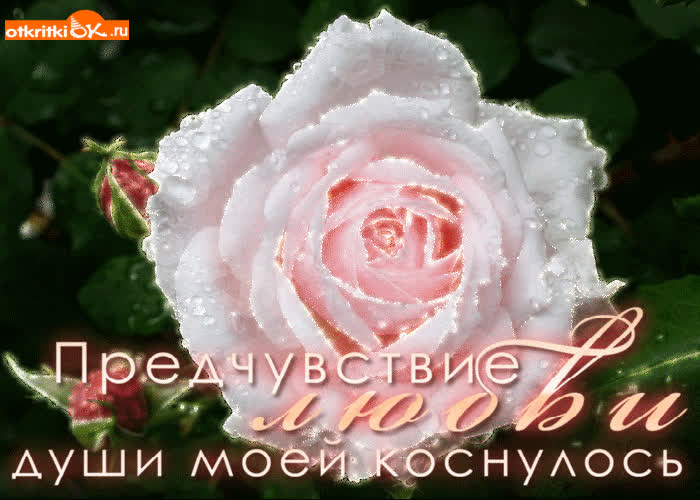 Картинка картинка предчувствие любви