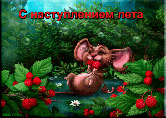 Картинка картинка прекрасного лета