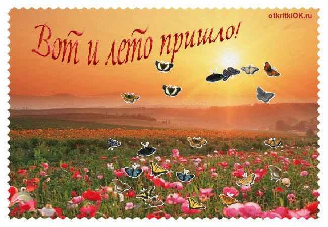 Картинка картинка природа лето