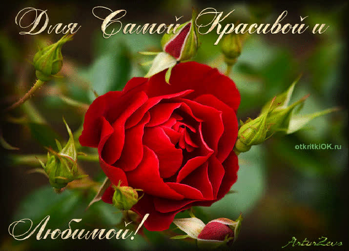 Картинка картинка самой красивой и любимой