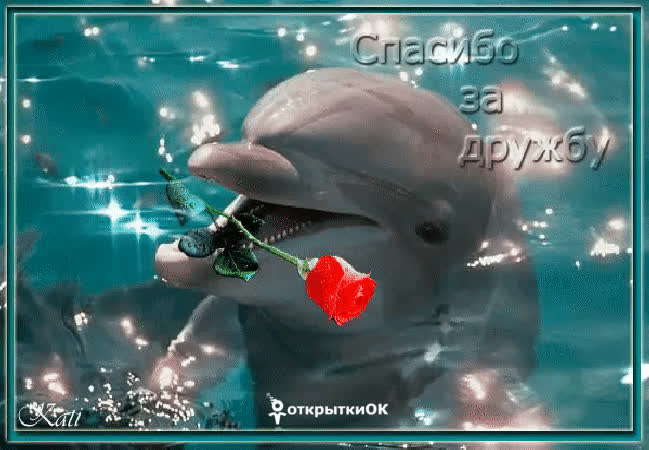 Картинка картинка спасибо за дружбу