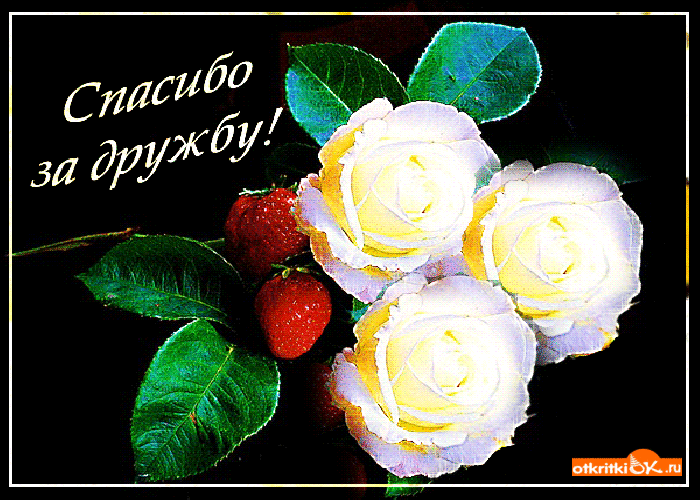 Картинка открытка спасибо за дружбу