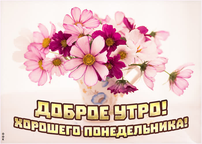 Картинка открыта доброго утра понедельника