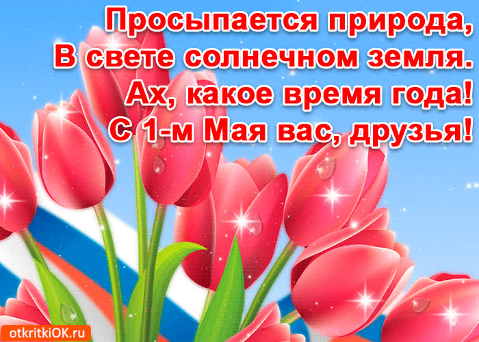 Картинка картинка 1 мая с поздравлением