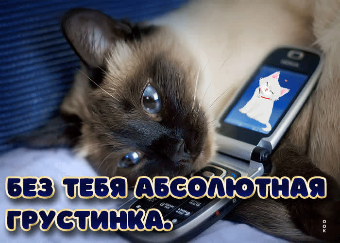 Postcard открытка без тебя абсолютная грустинка