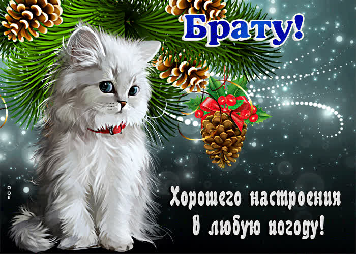 Картинка открытка брату, хорошего настроения в любую погоду