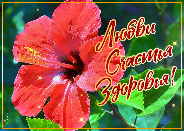 Картинка картинка для подружки