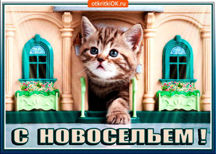 Картинка картинка для тебя, поздравляю с новосельем