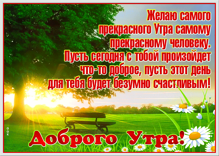 Картинка открытка доброе утро с красивыми словами