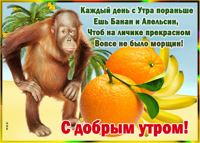 Картинка картинка доброе утро с приколом
