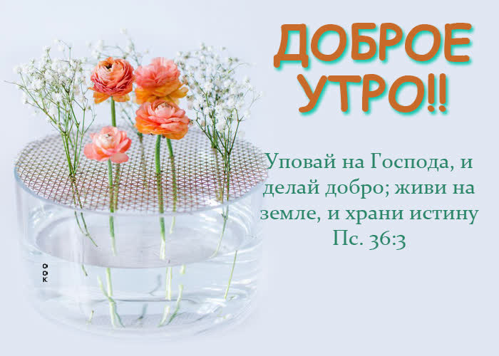 Postcard открытка доброе утро! упавай на господа и делай добро!