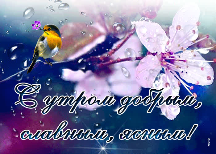 Открытка открытка доброго, славного утра