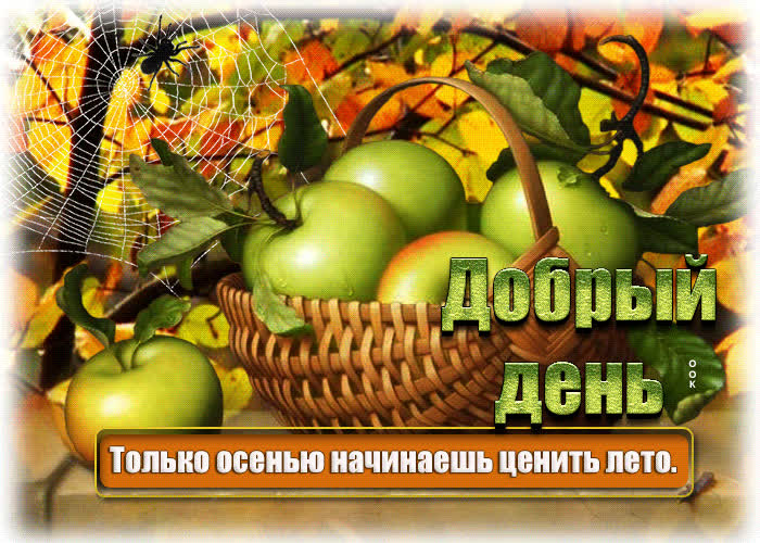 Postcard открытка добрый день! только осенью начинаешь ценить лето