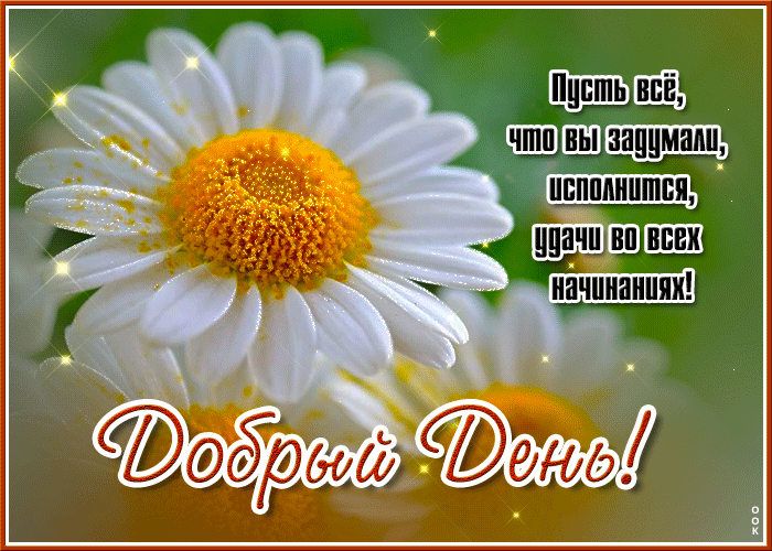 Postcard открытка добрый день! удачи во всех начинаниях