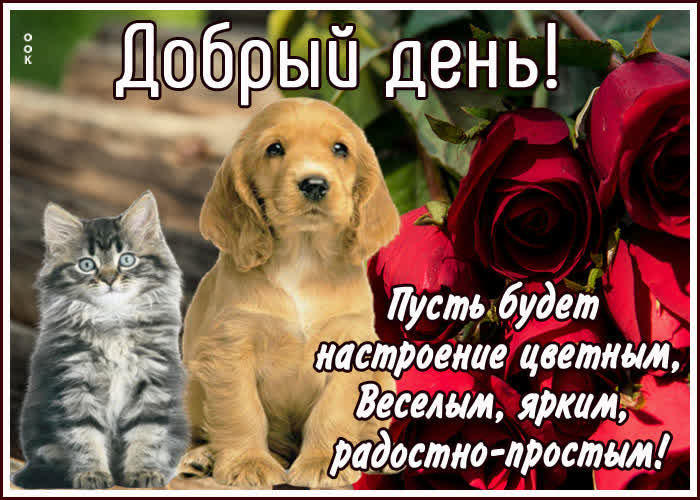 Картинка открытка добрый день друзья
