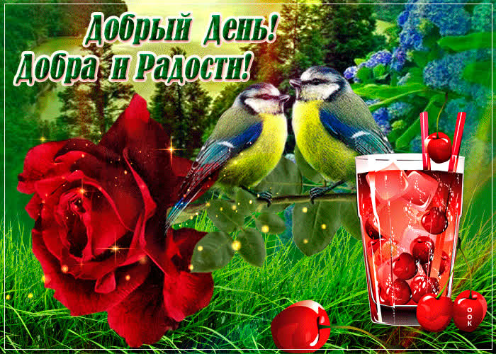Картинка картинка добрый день с пожеланиями