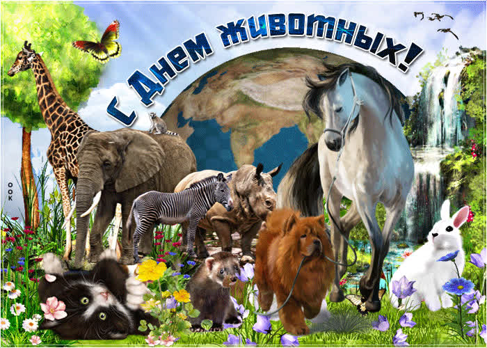 Картинка картинка гиф с днем животных