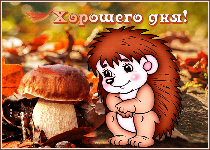 Картинка открытка хорошего дня с ёжиком