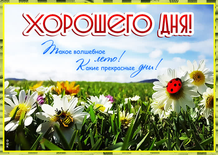 Картинка открытка хорошего летнего денька
