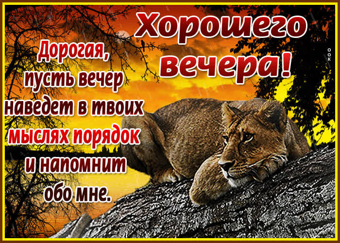 Картинка картинка хорошего вечера любимой