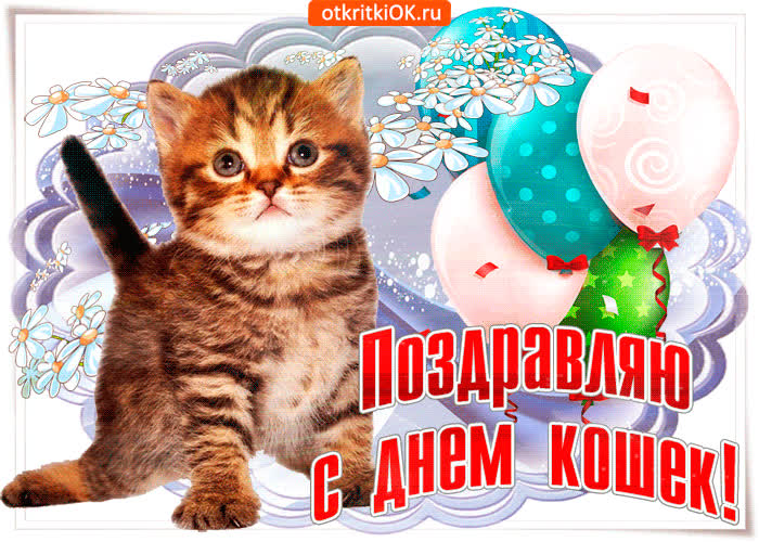 Картинка картинка ко дню кошек