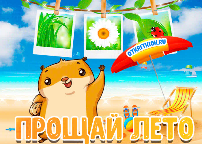 Картинка картинка конце лета