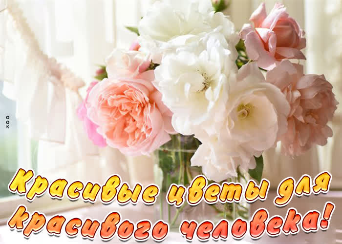 Открытка открытка красивые цветы для красивого человека