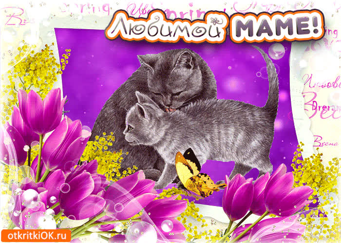Картинка картинка любимой маме
