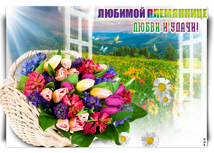 Картинка открытка любимой племяннице