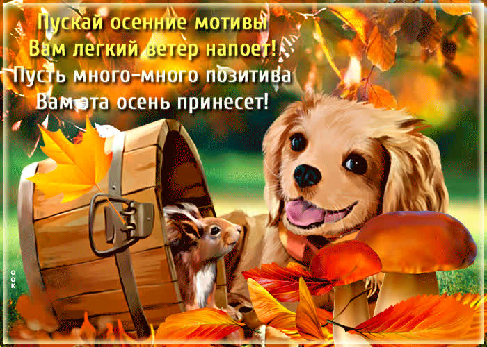 Открытка открытка много позитива вам