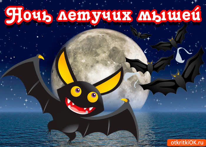 Картинка картинка ночь летучих мышей