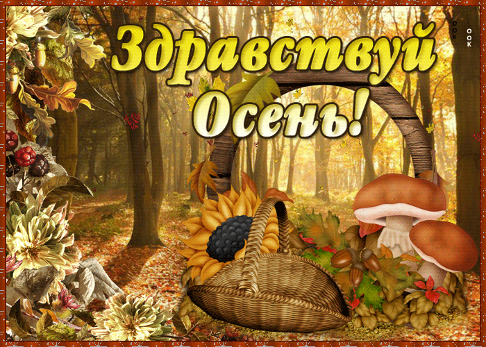 Открытка открытка осенний пейзаж