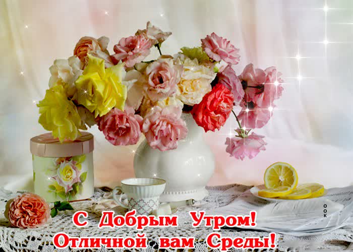 Открытка открытка отличной среды