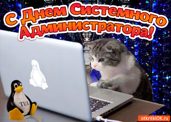 Картинка картинка поздравление с днём системного администратора (сис админа)
