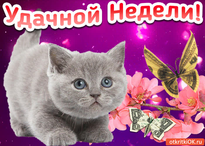 Картинка картинка пожелание удачной недели