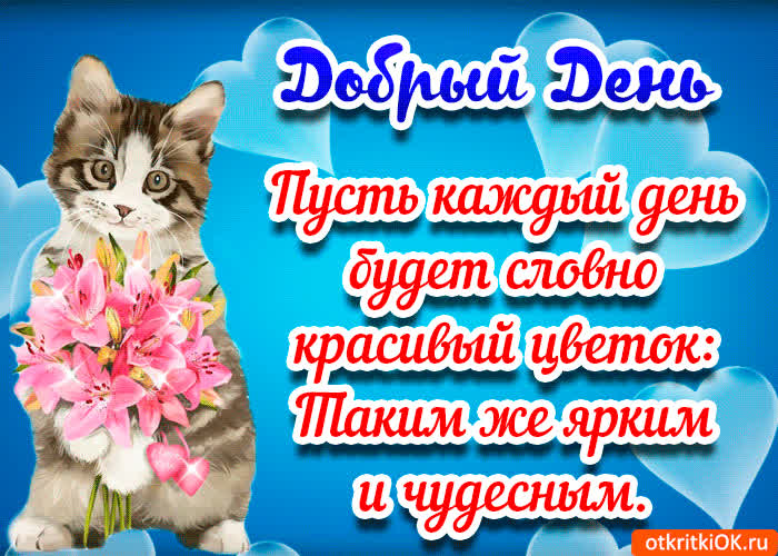 Картинка картинка пожелания доброго дня