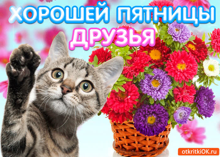 Картинка картинка пожелания хорошей пятницы