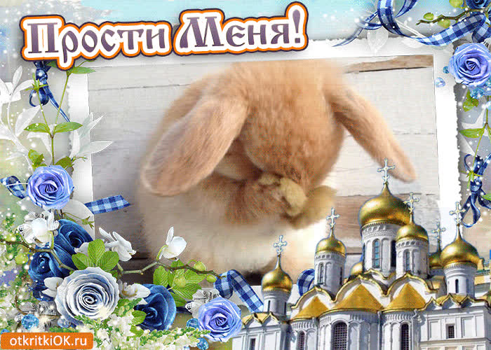 Картинка картинка прости меня