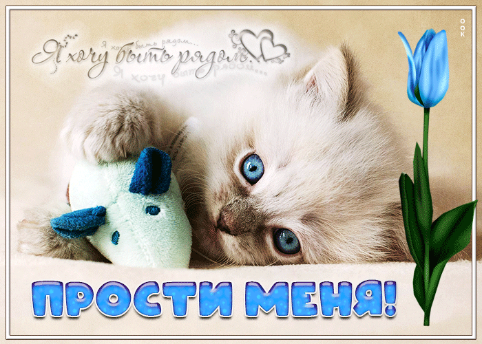 Открытка открытка прости меня, я хочу быть рядом