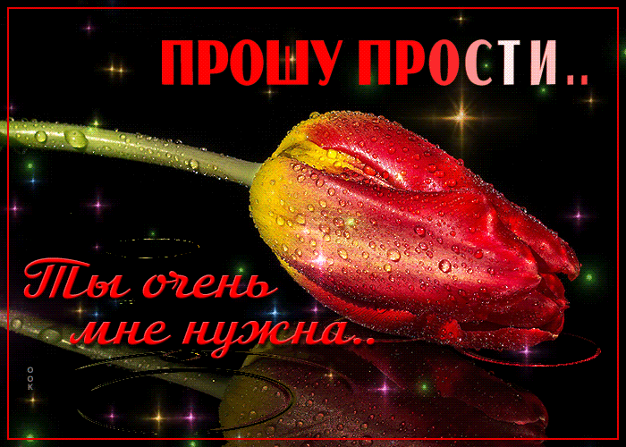 Открытка открытка прости женщине