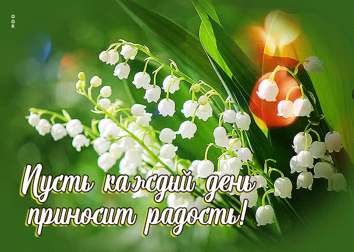 Picture открытка пусть каждый день приносит радость!