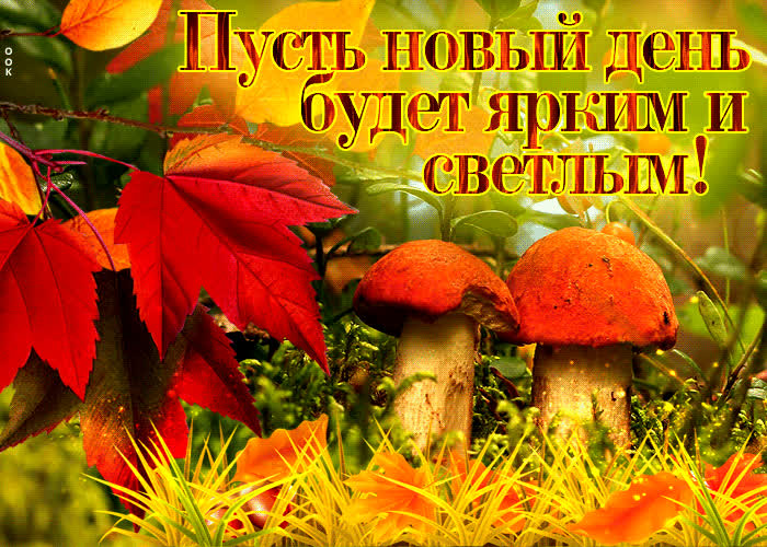 Picture открытка пусть новый день будет ярким и светлым!