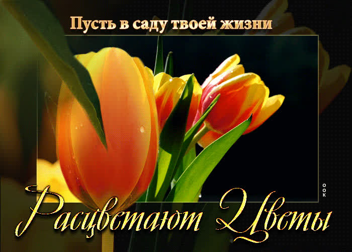 Picture открытка пусть в саду твоей жизни расцветают цветы