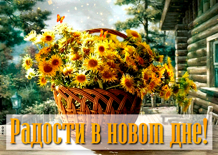 Картинка открытка радости в новом дне