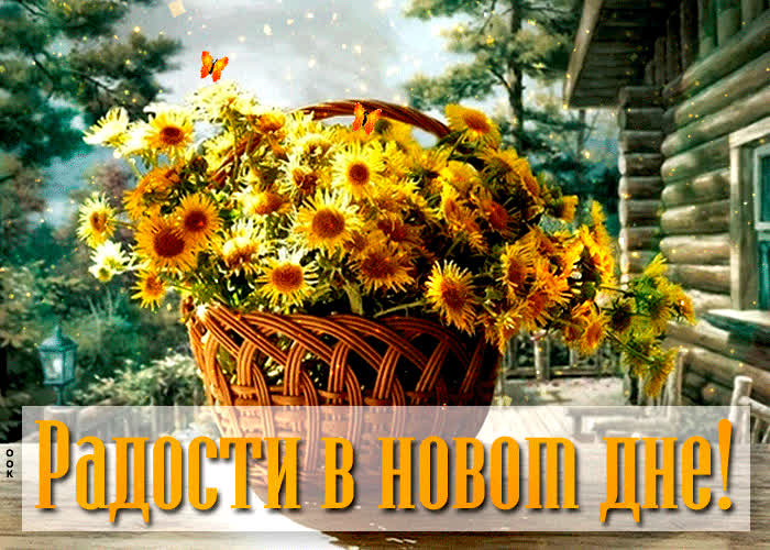 Картинка открытка радости в новом дне